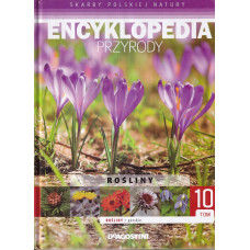 Rośliny : rośliny górskie